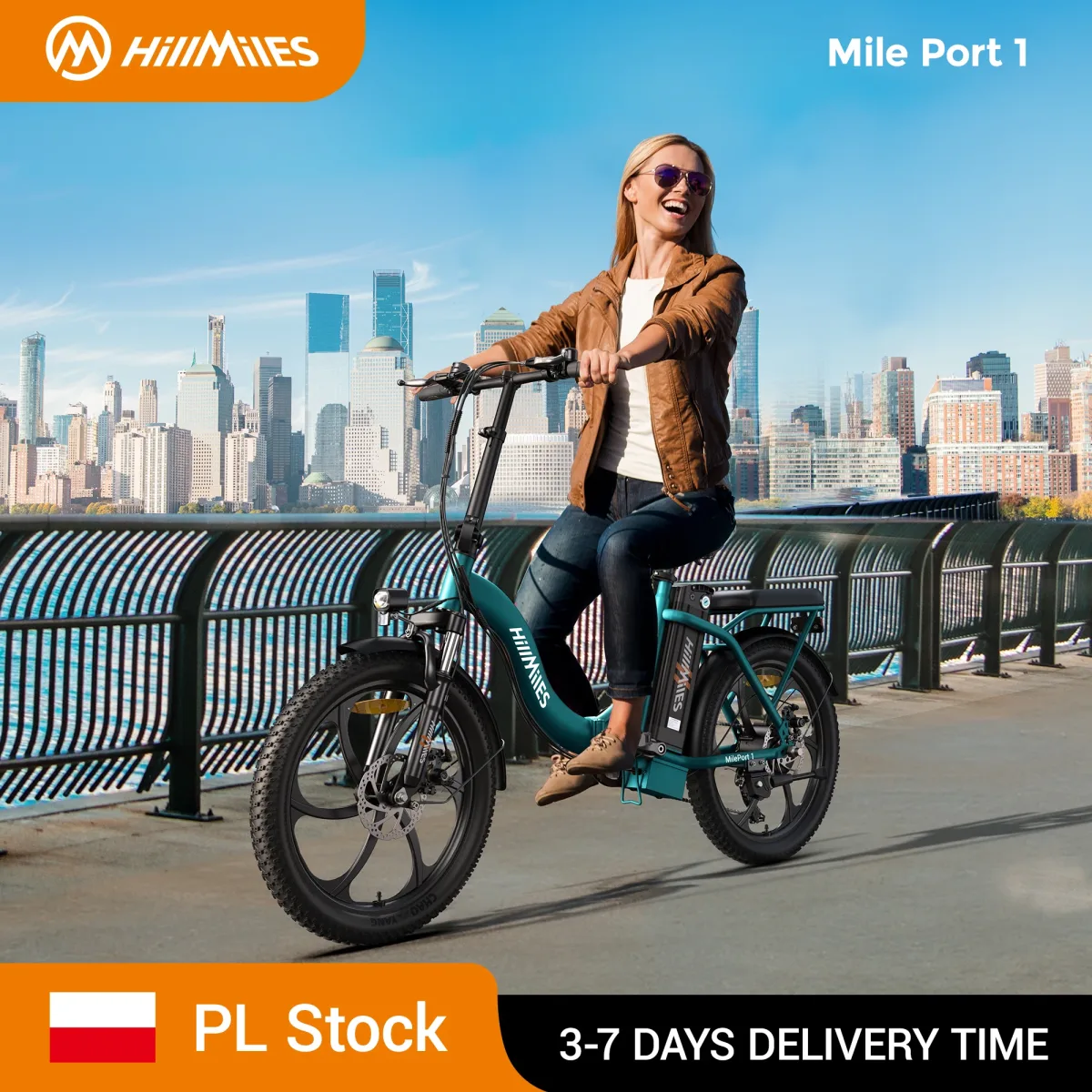 Vélo électrique pliable à gros pneus, 250 W