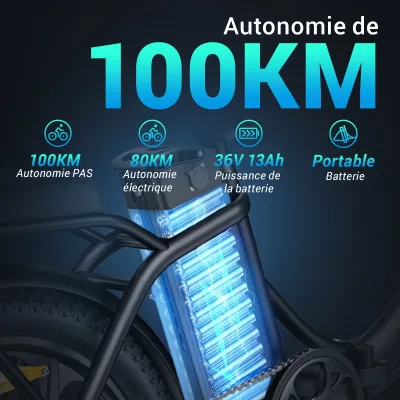 Vélo électrique pliable à gros pneus, 250 W – image 2