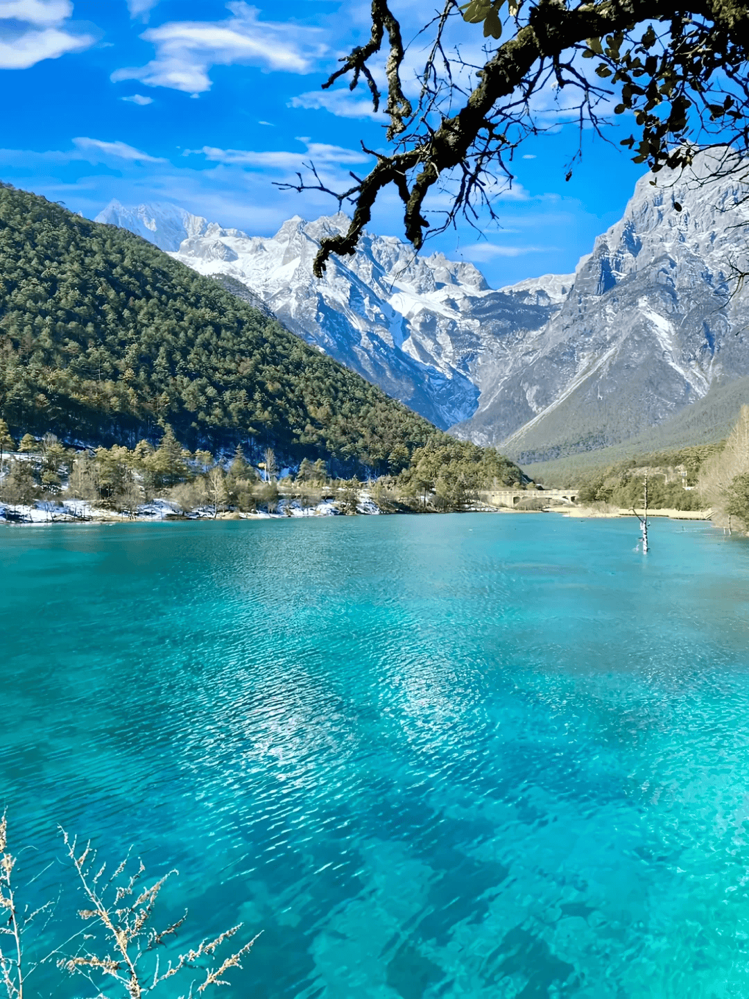 ：综合口碑、实力与资质的真实盘点开元棋牌云南旅行社前十名大揭秘(图2)